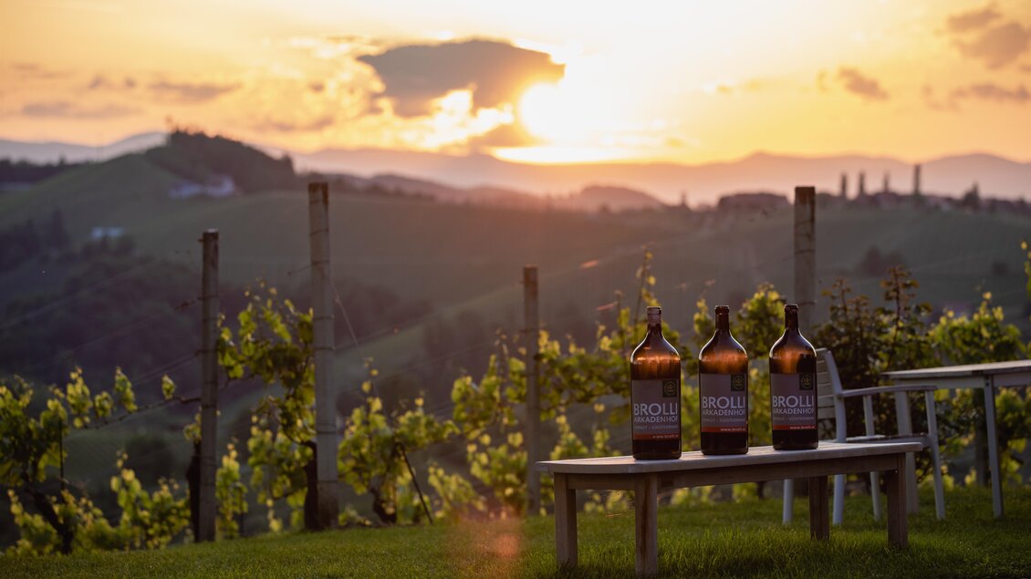 Weingut Brolli - Arkadenhof - Impressionen #2.5