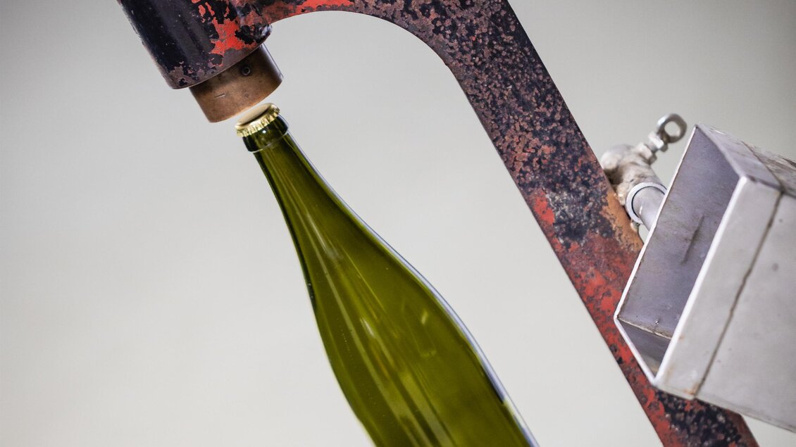 Weingut Brolli - Arkadenhof - Impressionen #2.10