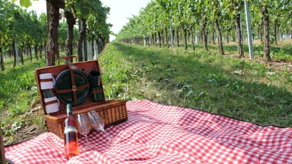 Weinhof_Destillerie_Bäuchel_Picknick im Weingarten | © keine Kenntnis
