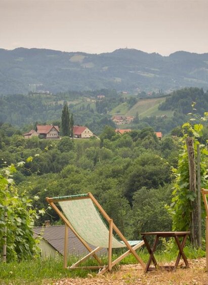 weingut_deutschmann_vlg__smonde_ausblick | Markus Deutschmann | © Markus Deutschmann | Weingut Deutschma vlg. Smonde
