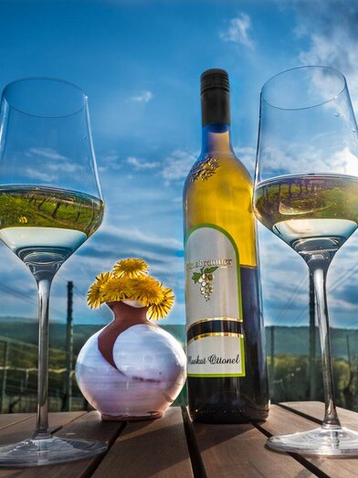 Wein mit Aussicht genießen | Bernd Edelsbrunner | © www.luftbildbaustelle.at