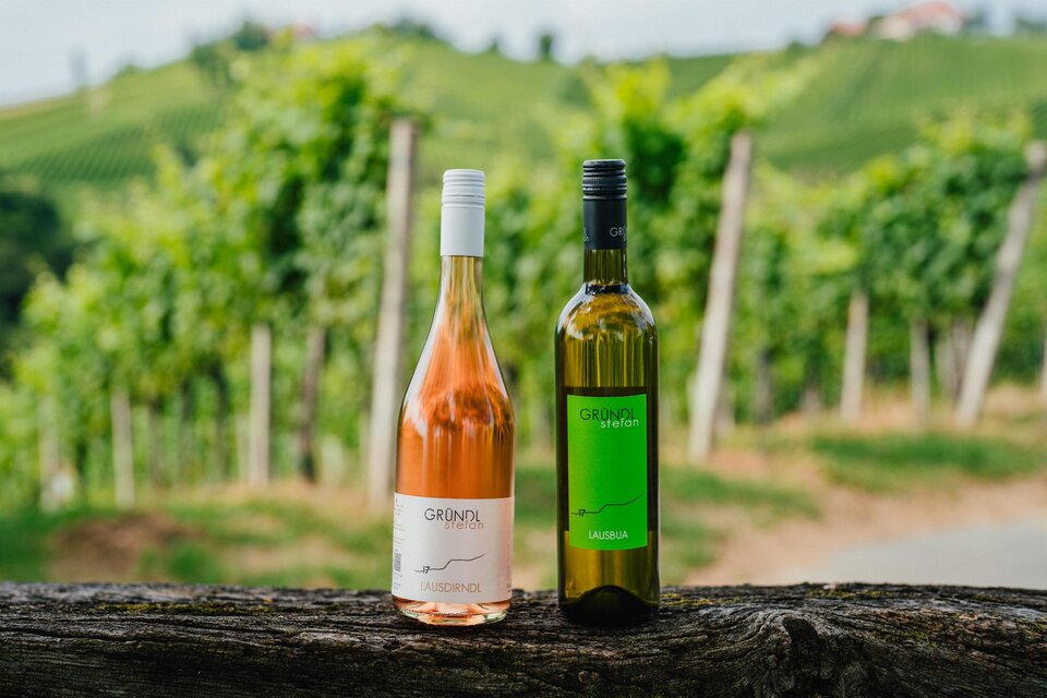 Weingut Gründl - Labuttendorf - Impression #1 | © Michaela Lorber