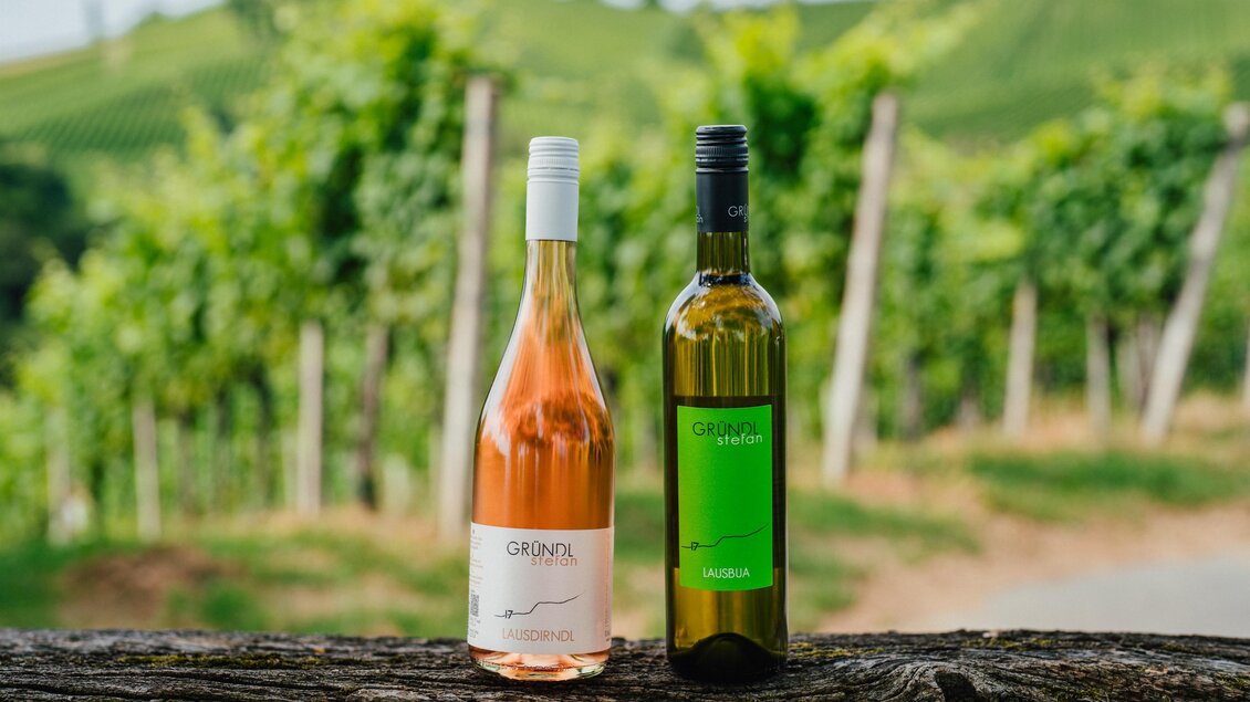 Zwei Weinflaschen stehen auf einem Holzstamm vor grünen Weinbergen. Eine Flasche ist rosé und die andere grün. | © Michaela Lorber