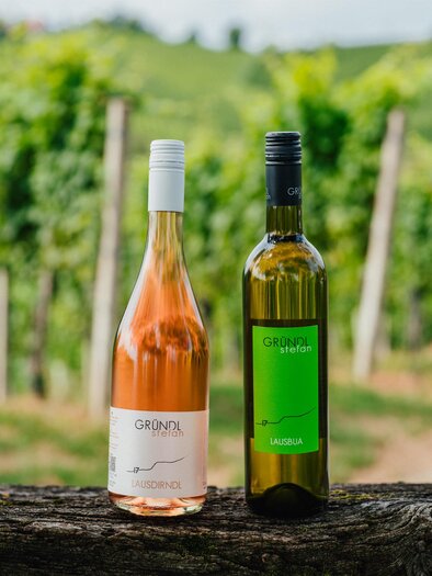 Two wine bottles are standing on a wooden log in front of green vineyards. One bottle is rosé and the other is green. | © Michaela Lorber