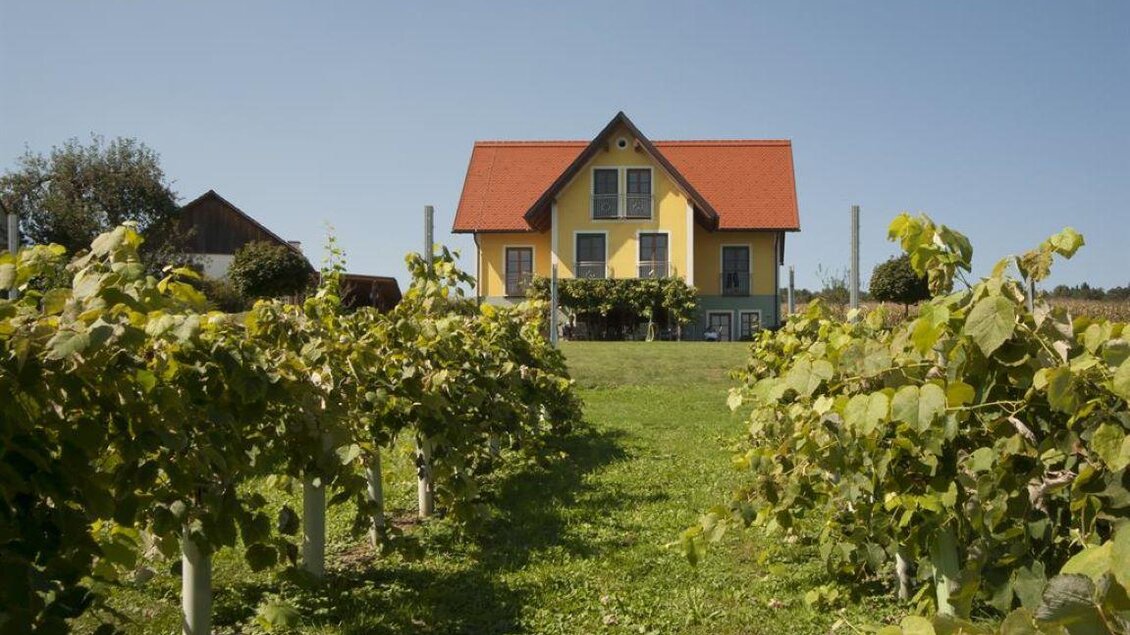 Ein charmantes Haus mit rotem Dach umgeben von Weinreben. Der Himmel ist klar und blau, was eine ruhige Atmosphäre schafft. | © Winzerhof Grebenz