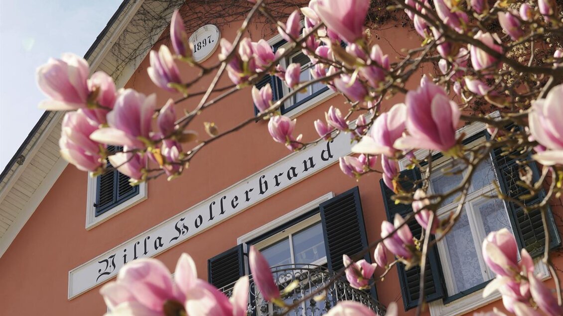 Ein charmantes Gebäude mit einem blühenden Magnolienbaum im Vordergrund. Die Fassade ist in sanften Farben gehalten und hat einen Balkon. | © Weingut Hannes und Petra Harkamp