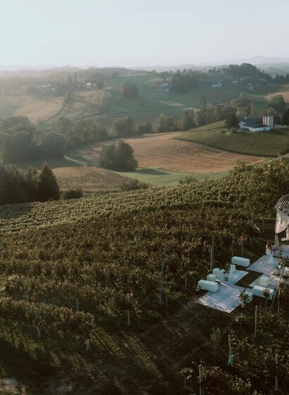 Titelbild 2 | © Lukas Elsnegg | Weingut Holler | © Lukas Elsnegg | Weingut Holler