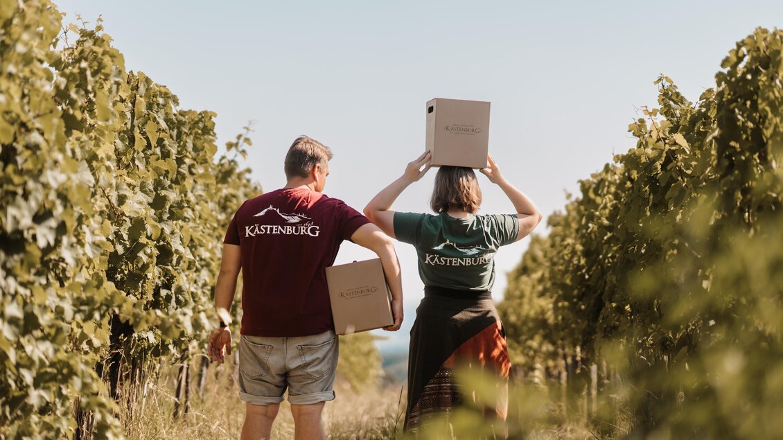 Ein Paar trägt Kisten durch einen Weinberg. Die Sonne scheint und die Traubenreben stehen in Reihe. | © Genuss-Geschwister Kästenburg
