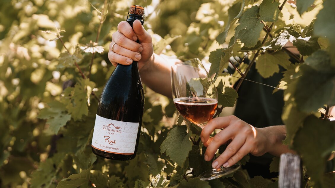 Eine Person hält eine Flasche Wein und ein Glas in einem Weinberg. Die Pflanzen im Hintergrund zeigen üppige grüne Blätter. | © Genuss-Geschwister Kästenburg