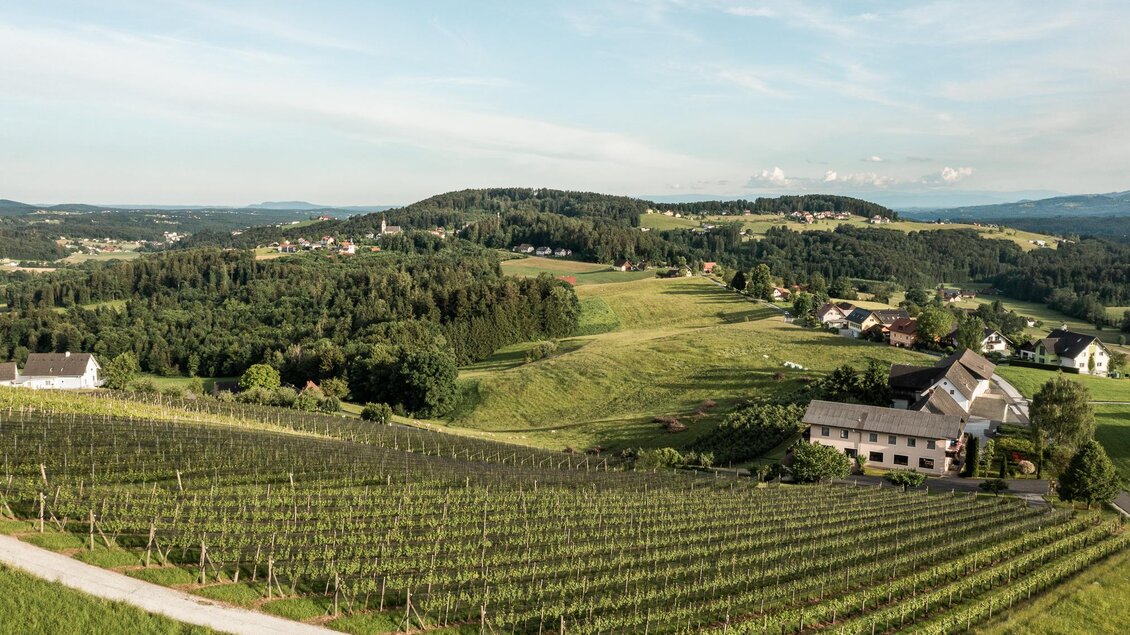 Blick über die Weingärten des Weinguts Johann Reicher mit Hügellandschaft und Gebäuden im Hintergrund in St. Bartholomä. | © Region Graz - Mias Photoart