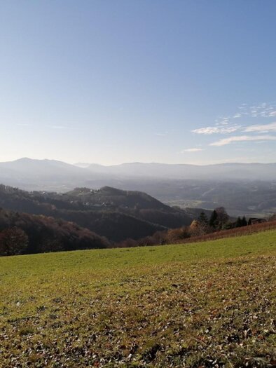 Buschenschank Klopfer-Glaserkeller | © Weingut Klopfer