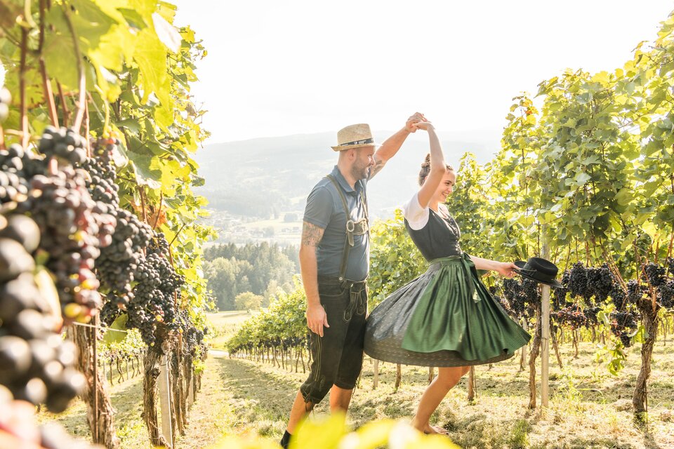 Kremser-Greitbauer Winery - Impression #1 | © TV Region Graz - Die Abbilderei