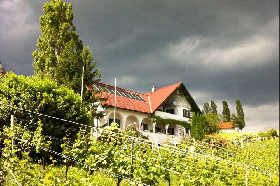 Weingut Maitz Urbanikeller - Impression #1 | © Wolfgang Dürnberger