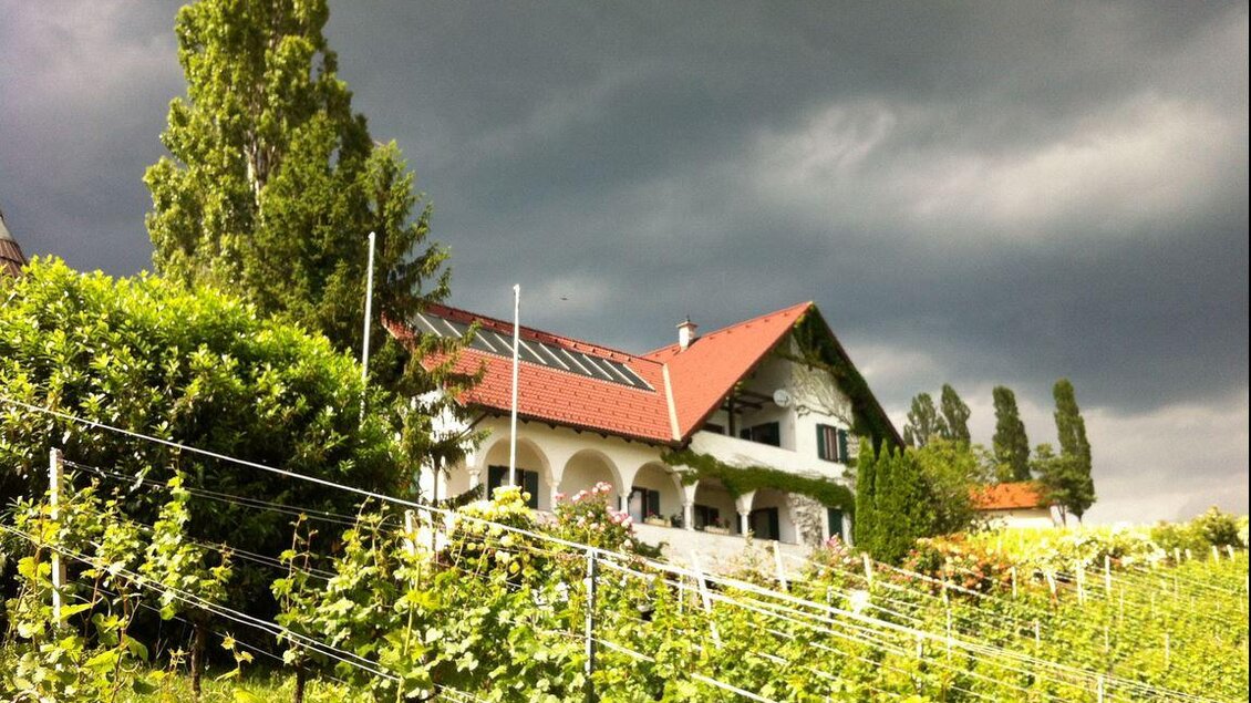 Ein Weingut mit grünen Weinreben vor einem modernen Haus. Der Himmel ist bewölkt, was der Szenerie eine dramatische Atmosphäre verleiht. | © Wolfgang Dürnberger