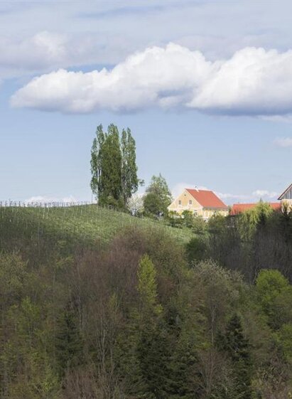 Weingut Muster | © Weingut Muster l Maria & Sepp Muster | Maria & Sepp Muster | © Weingut Muster l Maria & Sepp Muster