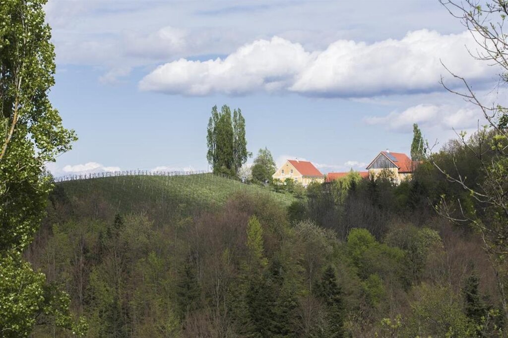 Weingut Maria & Sepp Muster in Leutschach an der Weinstraße