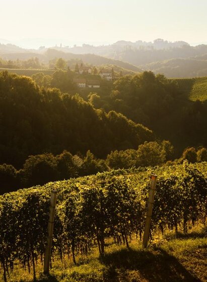 NeueHeimat Landschaft | © Martin Stöbich | © Martin Stöbich