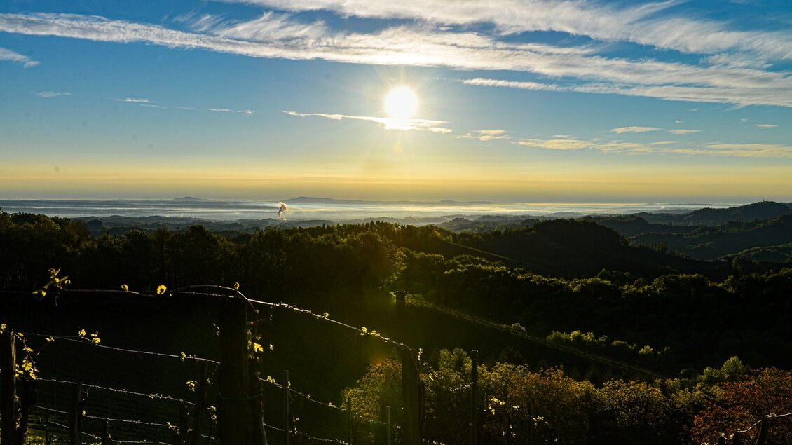Eine malerische Landschaft mit Weinreben und einem Sonnenuntergang. Im Hintergrund erstreckt sich das Tal mit sanften Hügeln. | © Weingut & Buschenschank Pölzl