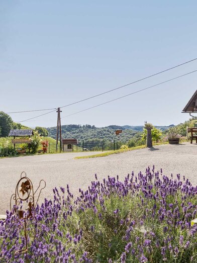 urlaub-weingut-buschenschank-poelzl-suedsteiermark | © ELISABETH FRÖHLICH photography | ELISABETH FRÖHLICH photography | © ELISABETH FRÖHLICH photography