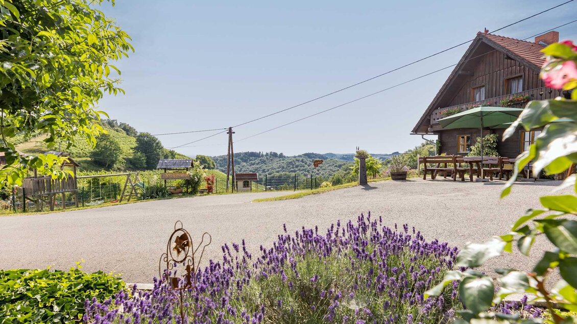Außenansicht vom Weingut & Buschenschank Pölzl in Großklein in der Südsteiermark in Alleinlage zwischen Weingärten, Wiesen und Wäldern. | © ELISABETH FRÖHLICH photography