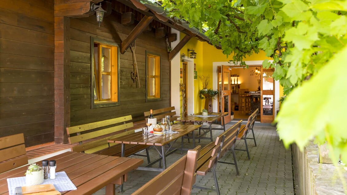 Schattige Weinlaube vom Weingut & Buschenschank Pölzl in Großklein in der Südsteiermark. | © ELISABETH FRÖHLICH photography