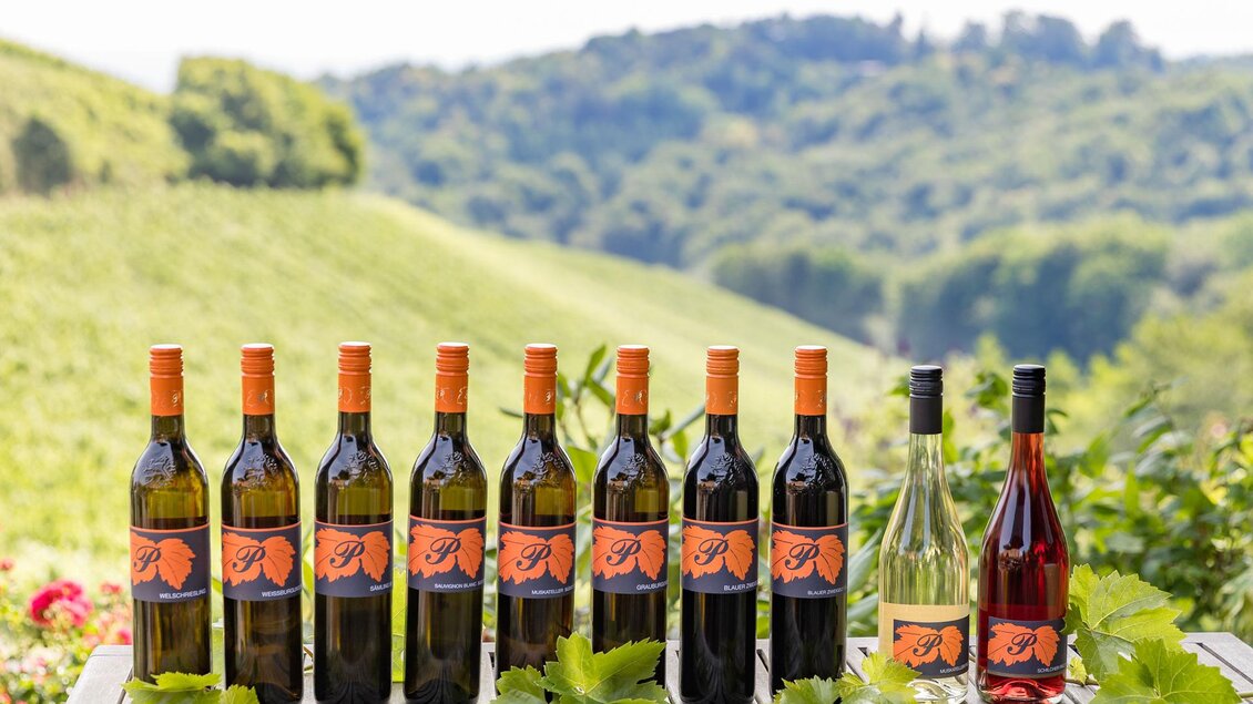 Weine des Weingut & Buschenschank Pölzl in Großklein in der Südsteiermark. | © ELISABETH FRÖHLICH photography