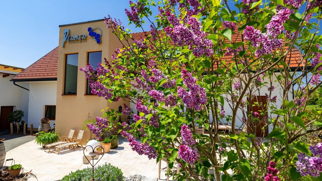 Eine schöne Blumenfront mit lila Flieder blüht vor einem modernen Gebäude. Die Umgebung wirkt einladend und sonnig. | © Weingut Perner