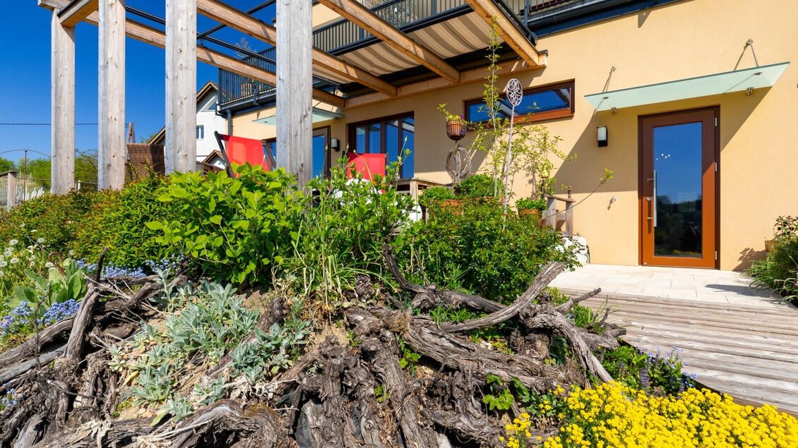 Ein schöner Garten mit bunten Blumen und einer modernen Fassade. Die Terrasse ist mit Holz und Pflanzen gestaltet, und der Himmel ist klar. | © Weingut Perner