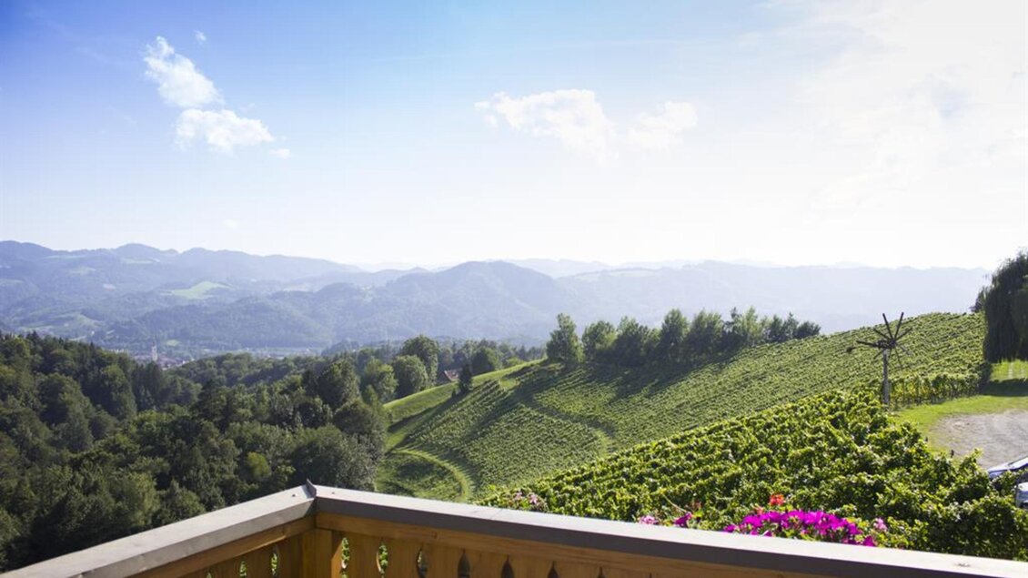 Eine schöne Aussicht auf Weinberge mit sanften Hügeln im Hintergrund. Der Himmel ist klar und blau, ideal für einen entspannten Tag in der Natur. | © Peter Grill | Weingut Peter Grill