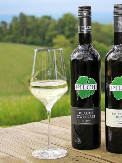 Weingut Pilch Weine | © Weingut Pilch | Fam. Pilch | Fam. Pilch | © Weingut Pilch | Fam. Pilch