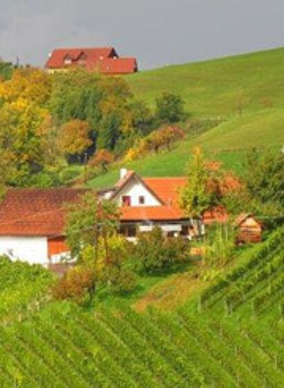 Skringer Ranz (1) | © Josef Skringer | Weingut Skringer | Josef Skringer | © Josef Skringer | Weingut Skringer