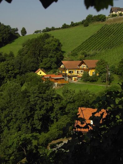 An idyllic landscape with vineyards and dense forests. In the foreground, several charming houses are visible. | © Weingut Stoff