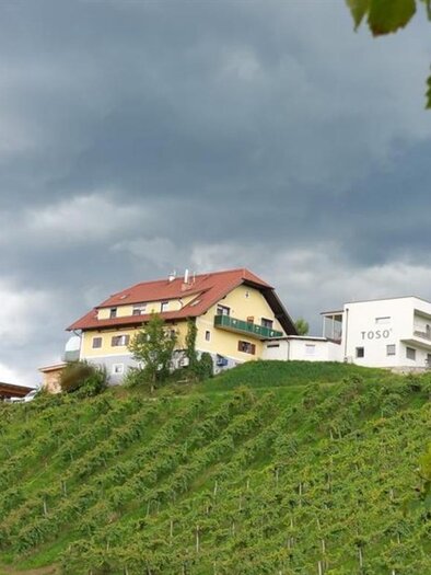 Weingut Toso Hausansicht | © Weingut Toso l Stephan & Matthias Krainer