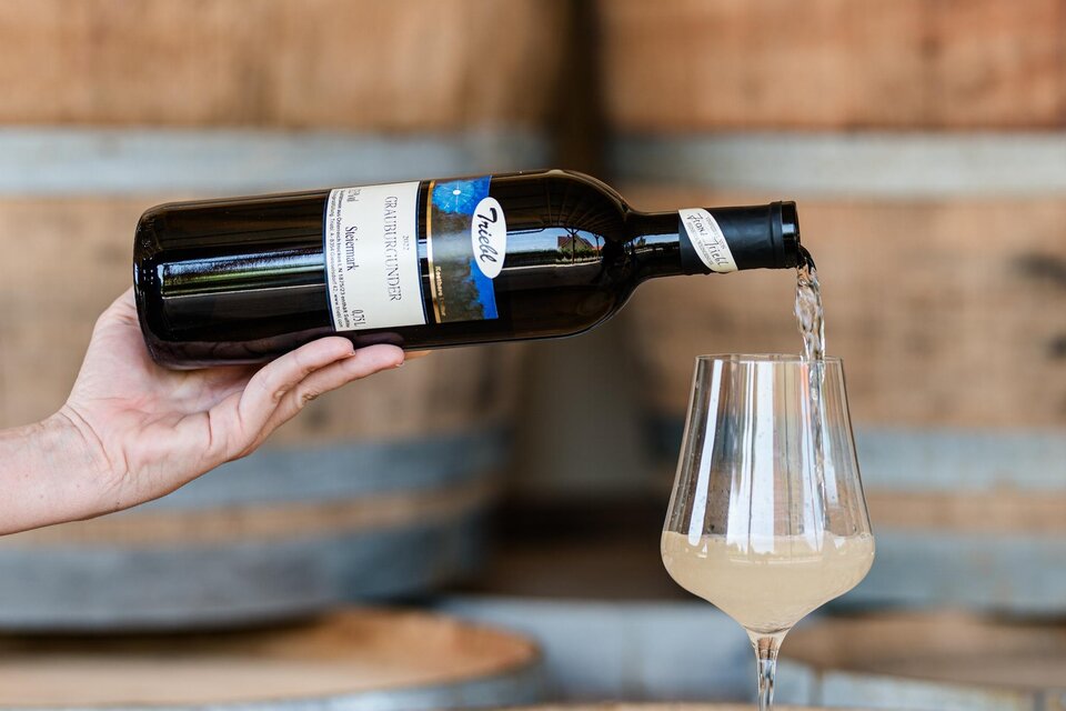 Weingut Triebl - Impression #1 | © Weingut Triebl