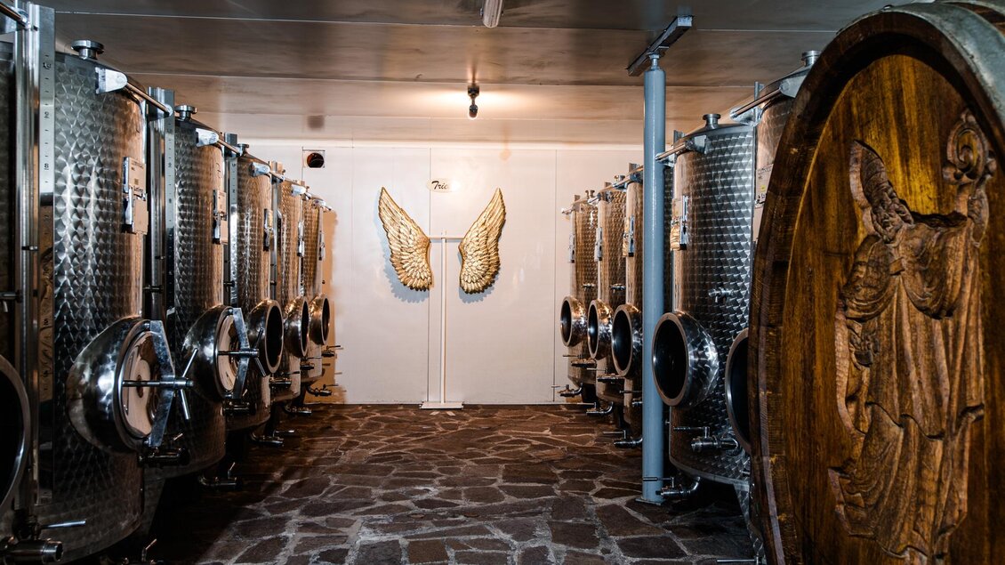 Weinkeller vom Weingut Triebl | © Weingut Triebl
