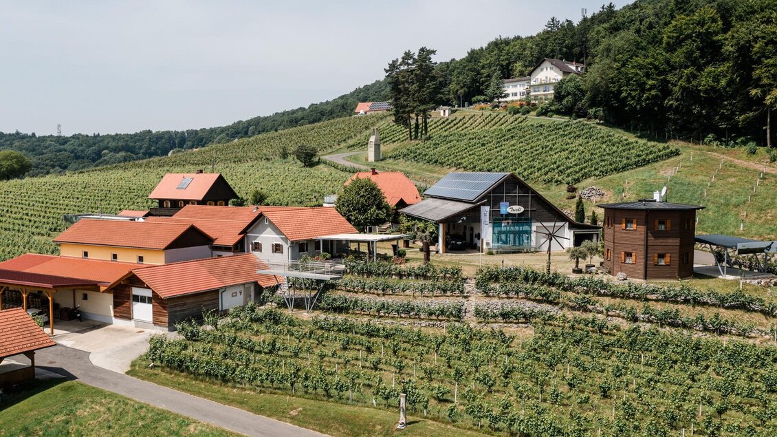 Blick auf das Weingut | © Weingut Triebl