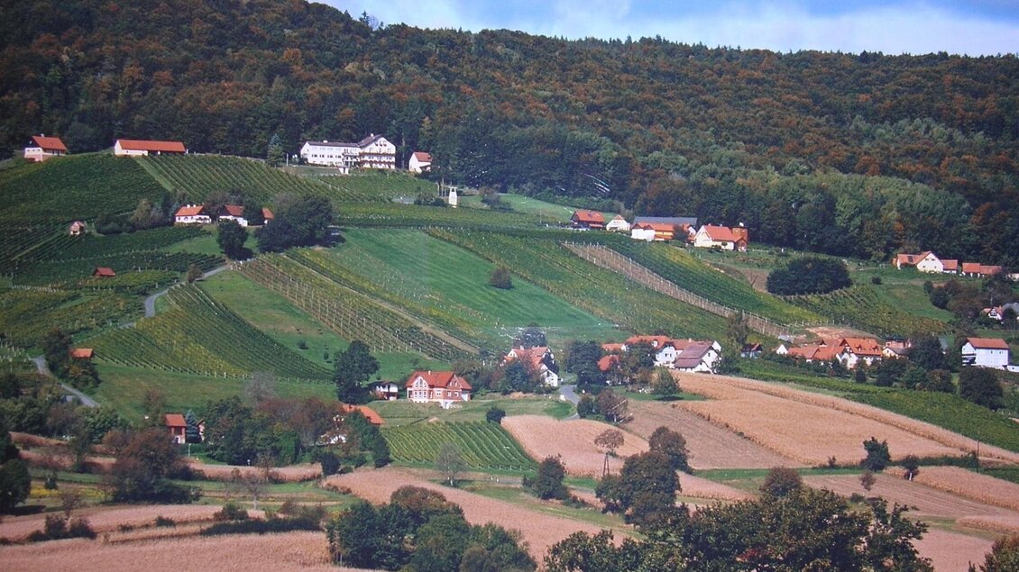 Weitblick über Felder in die Ferne | © Weingut Triebl