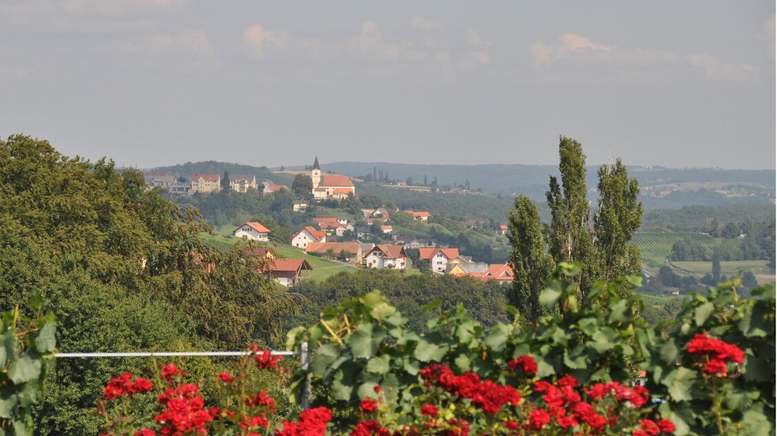 Blick nach St. Anna am Aigen | © Weingut Triebl