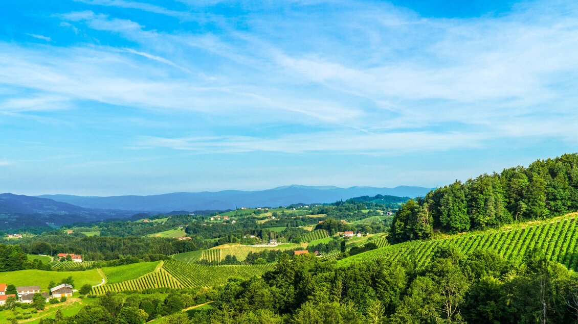 Weingut Tscheppe - Impressionen #2.2