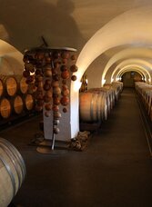 Weingut Winkler-Hermaden - Langer Keller | © Schloss Kapfenstein | Familie Winkler-Hermaden | © Schloss Kapfenstein