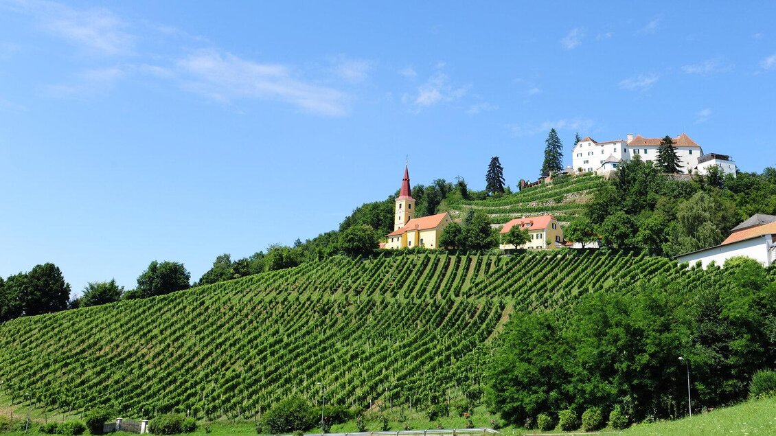 Blick auf Schloss Kapfenstein | © Schloss Kapfenstein