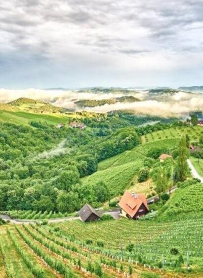 Sausal | © Weingut Wohlmuth | Weingut Wohlmuth | © Weingut Wohlmuth