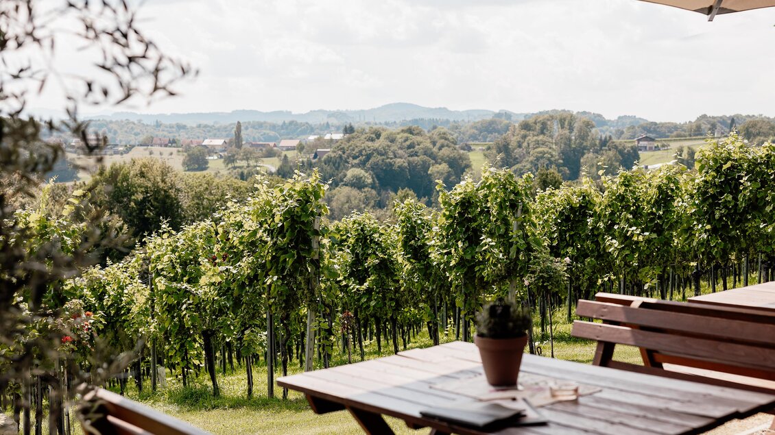 Ein schöner Blick über Weinreben mit einem Tisch und Stühlen im Vordergrund. Der Himmel ist teilweise bewölkt, und die Landschaft ist grün und hügelig. | © Katja Koller