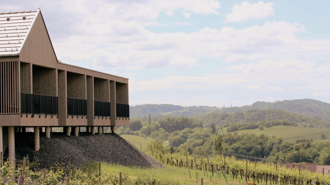 Das Haus Ried Steinbruch mit den 4 Lodges steht inmitten von Weinbergen. Im Hintergrund erstrecken sich sanfte Hügel unter einem hellen Himmel. | © Elena Zweytick