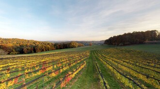 WineryRamminger_wine garden_Eastern Styria | © Familie Ramminger