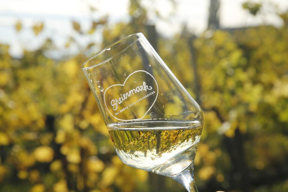 Weinhof Don Leo - Familie Ulrich in St. Anna/A. - Impression #1 | © Steiermark Tourismus