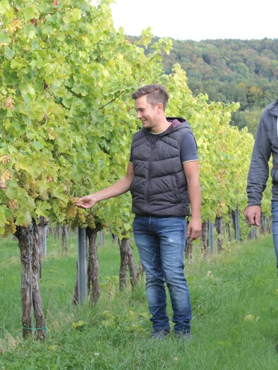 Weinhof Fauster | © Weinhof Fauster