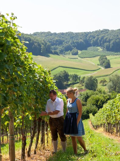 Arbeit im Weingarten | © Weinhof Konrad