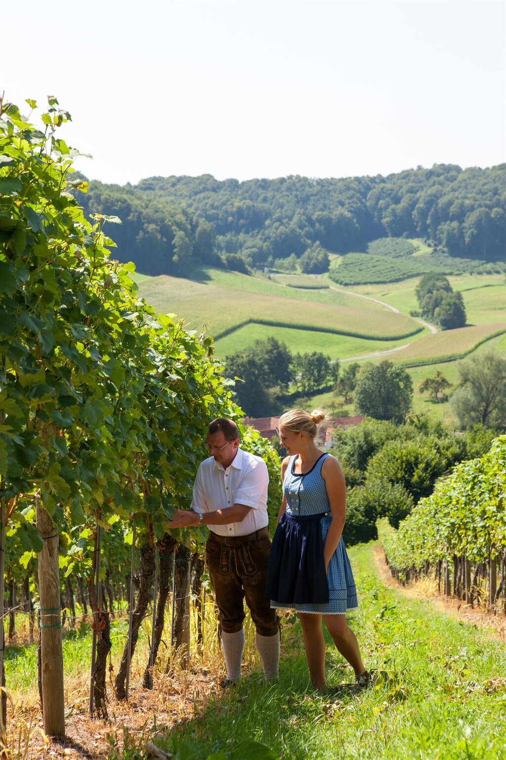 Weinhof Konrad in Fehring | steiermark.com