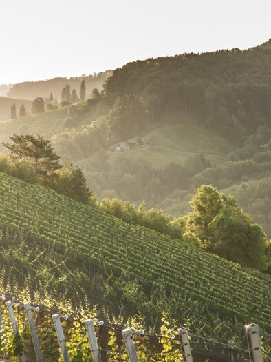 A picturesque landscape with gentle hills and vineyards. In the foreground, there is a small wooden structure. | © Christian Karnicar